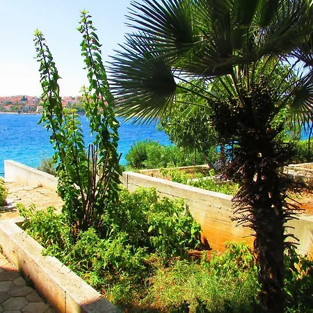 Dominika * Trogir