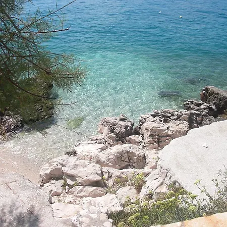 Dominika Lejlighed *